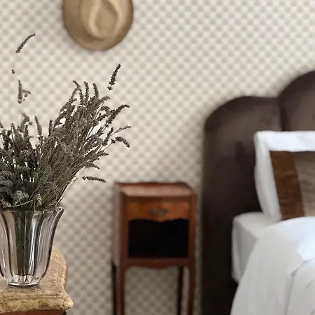 Chateau De Fontager Hotel 3*