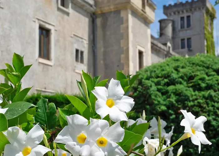 Chateau De Fontager Hotel 3*